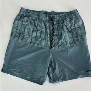 Patagonia Men's Blue Swim Shorts